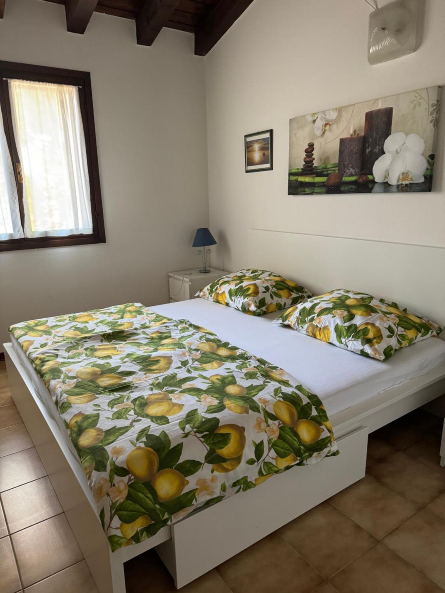 Casa Conchiglia - Aprilia Marittima - Corte Grande Esterno foto